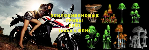 не бодяженный Инсар