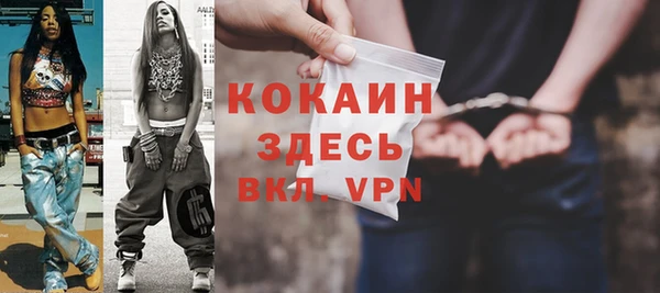 крисы Инта