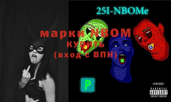 крисы Инта