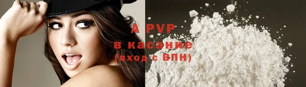 круглые Иннополис