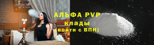 крисы Инта