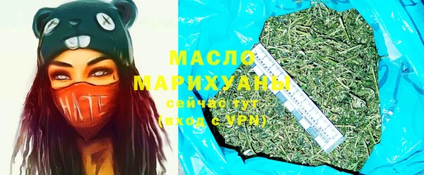 крисы Инта