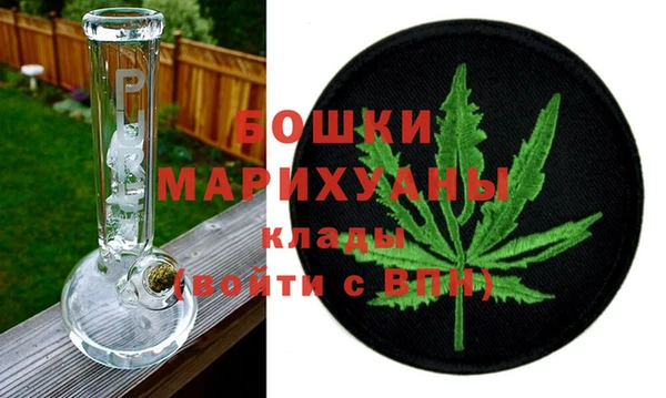 крисы Инта