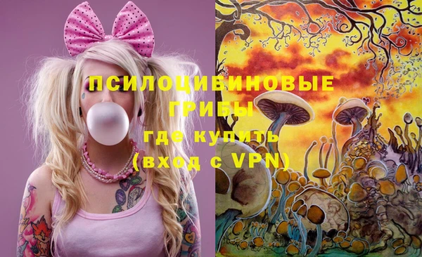 не бодяженный Инсар