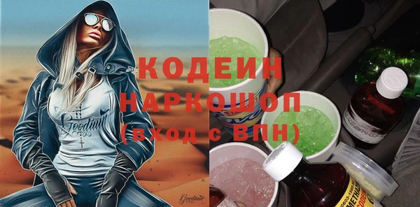 крисы Инта