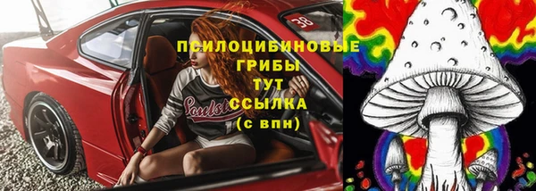 крисы Инта