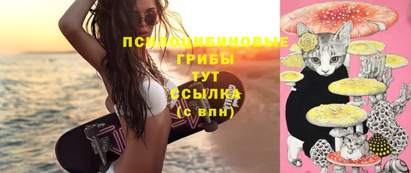 круглые Иннополис