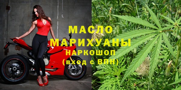 крисы Инта