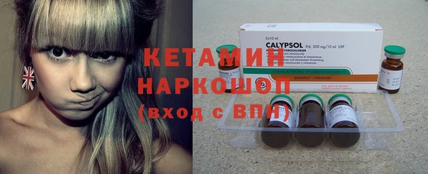 крисы Инта