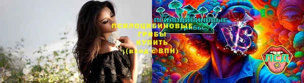крисы Инта