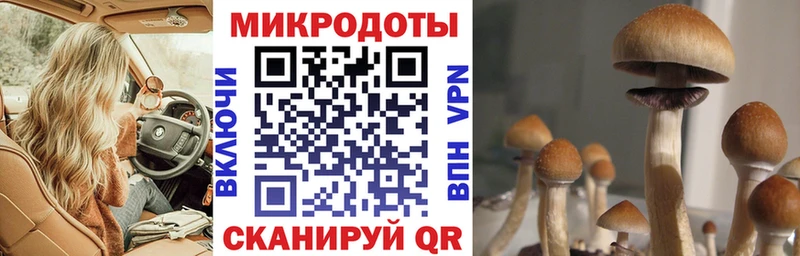 Галлюциногенные грибы Psilocybine cubensis  Купить где  Соль-Илецк 